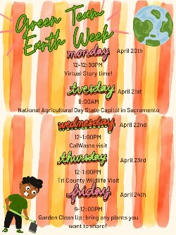 Green team flyer